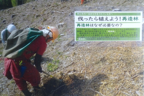 伐ったら植えよう！再造林 イメージ